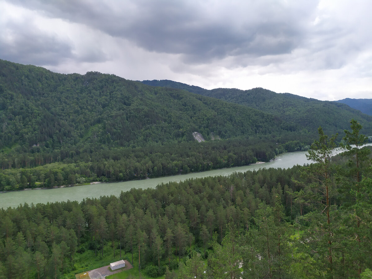 Вид на Катунь со склона горы в районе Тавды. Фото автора.