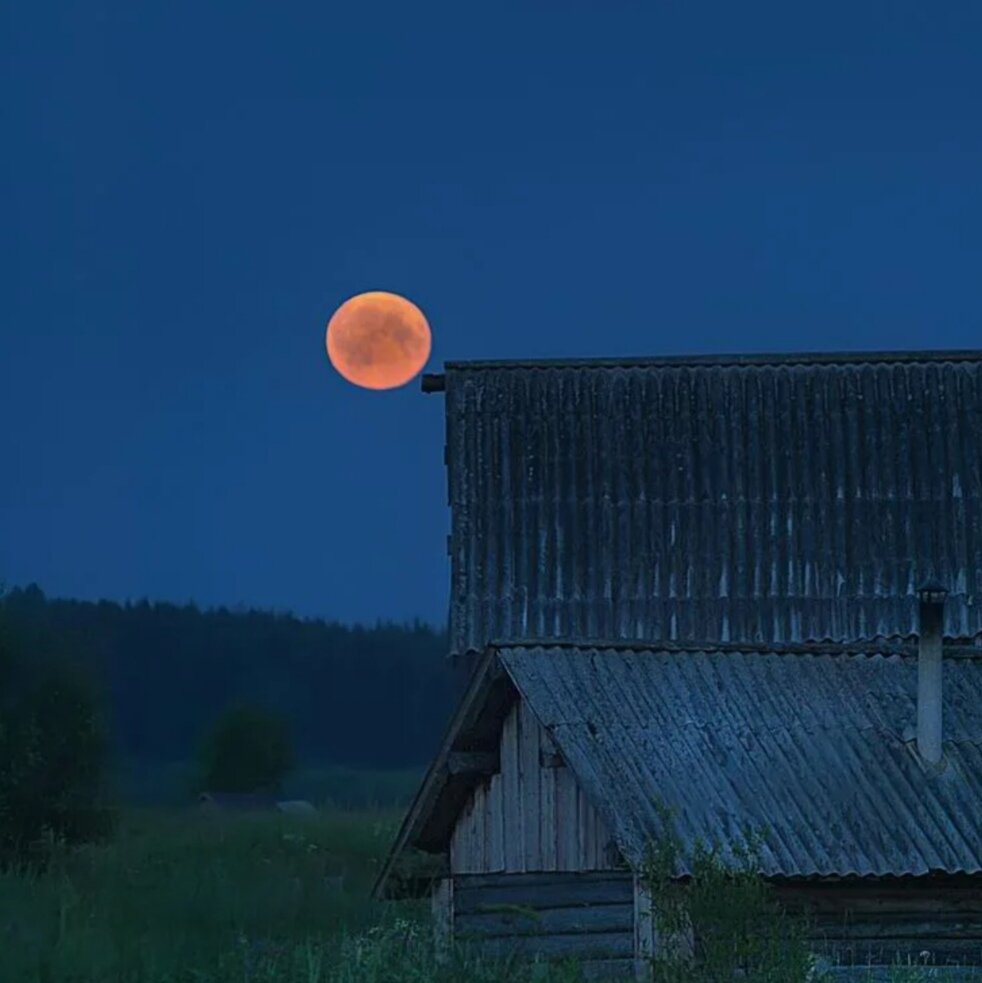 Ночь в деревне. Ночь деревня лето. Ночная деревня. Летняя ночь в деревне.