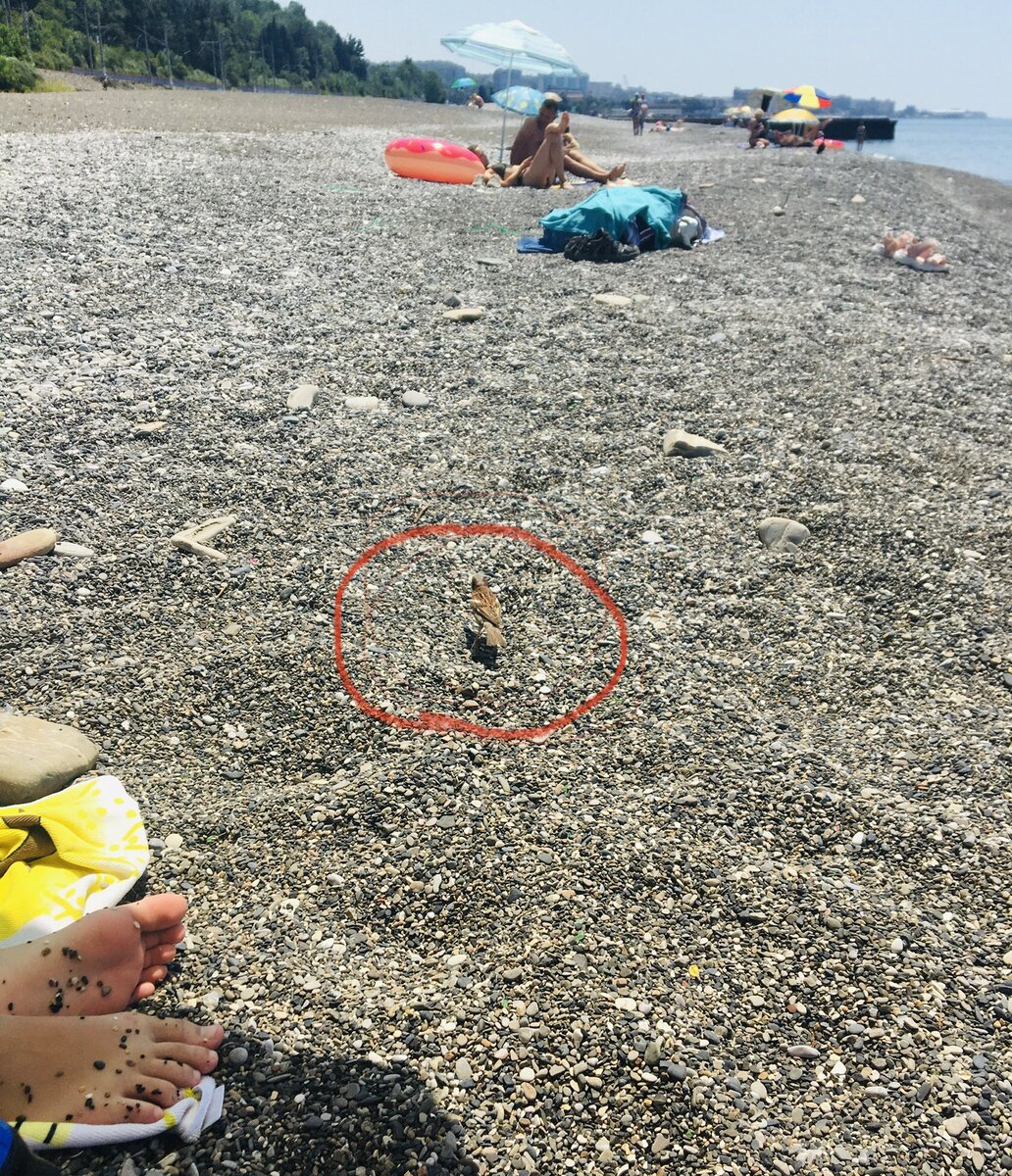 Удобно цеплять сучек на пляже — сразу видишь какие у них сиськи
