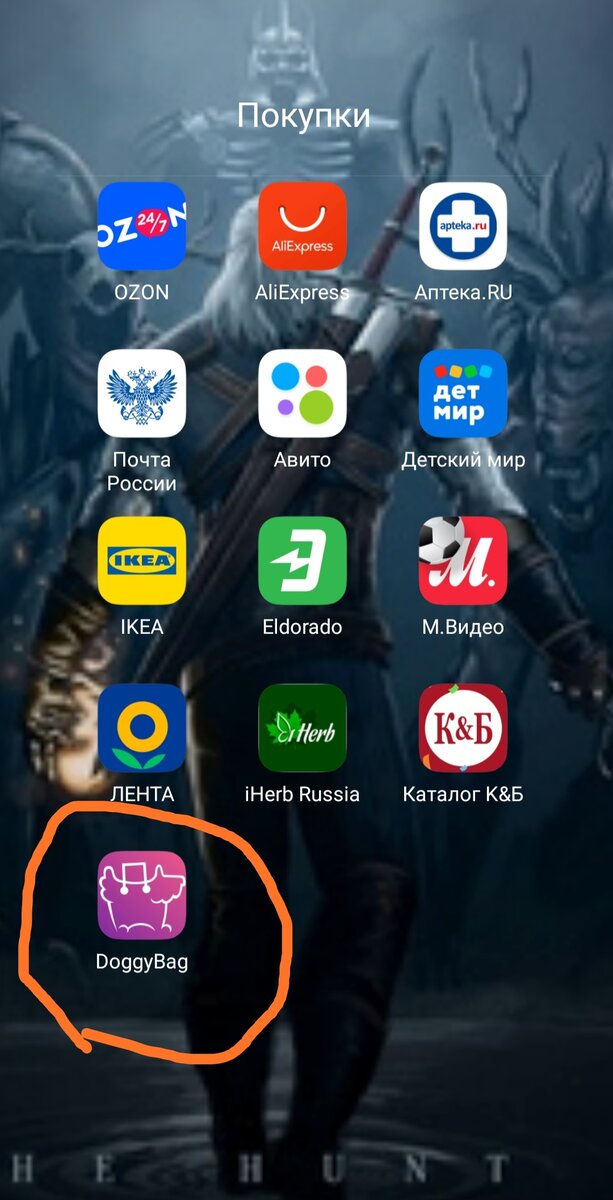 Скриншот моего экрана телефона. Иконка приложения обведена