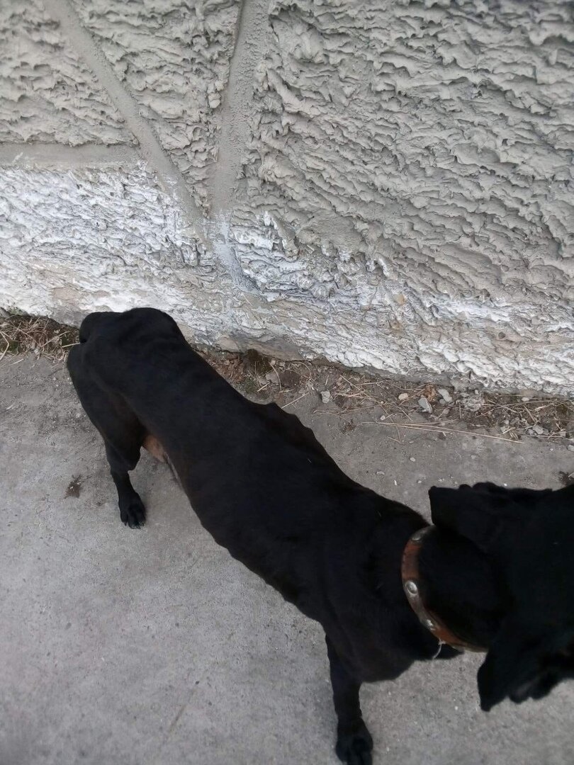 фото работников предприятия.