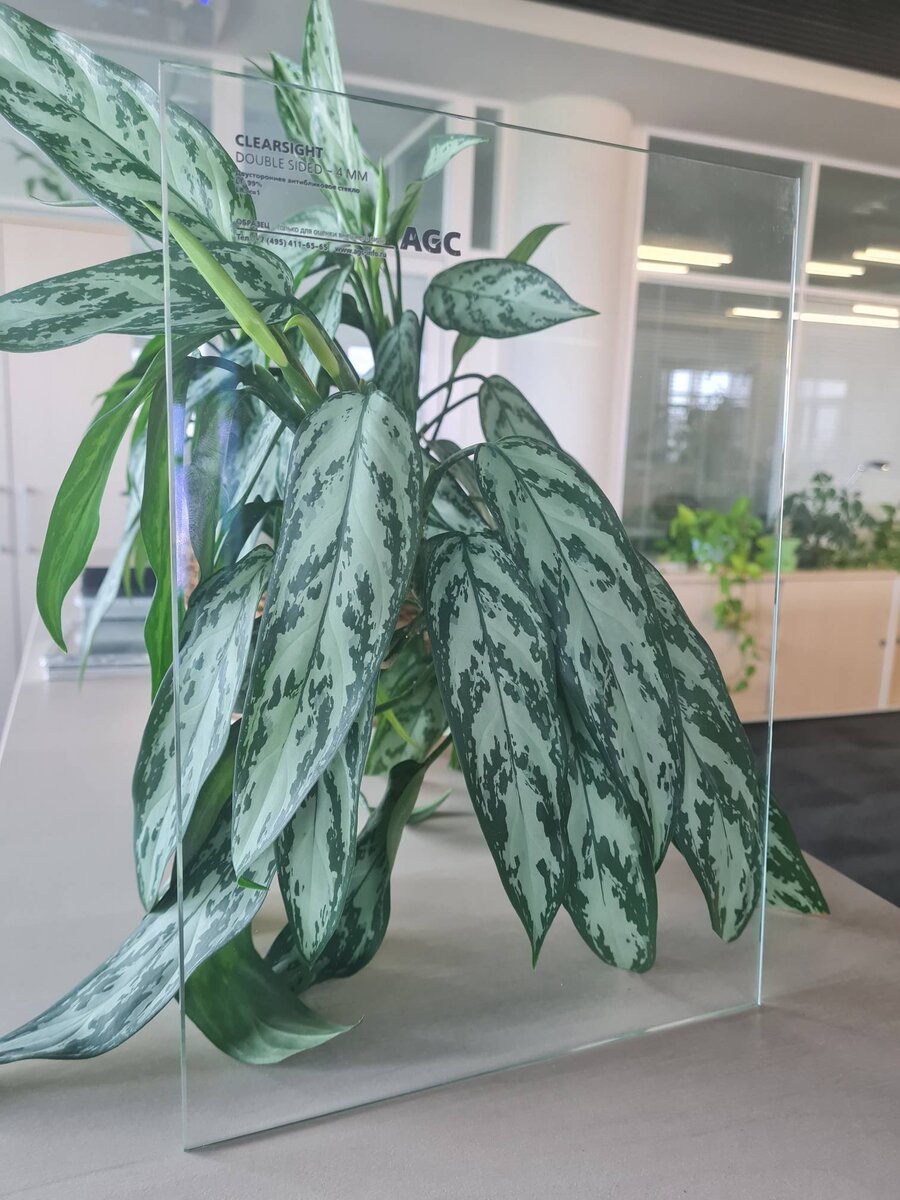 Антибликовое стекло Clearsight 