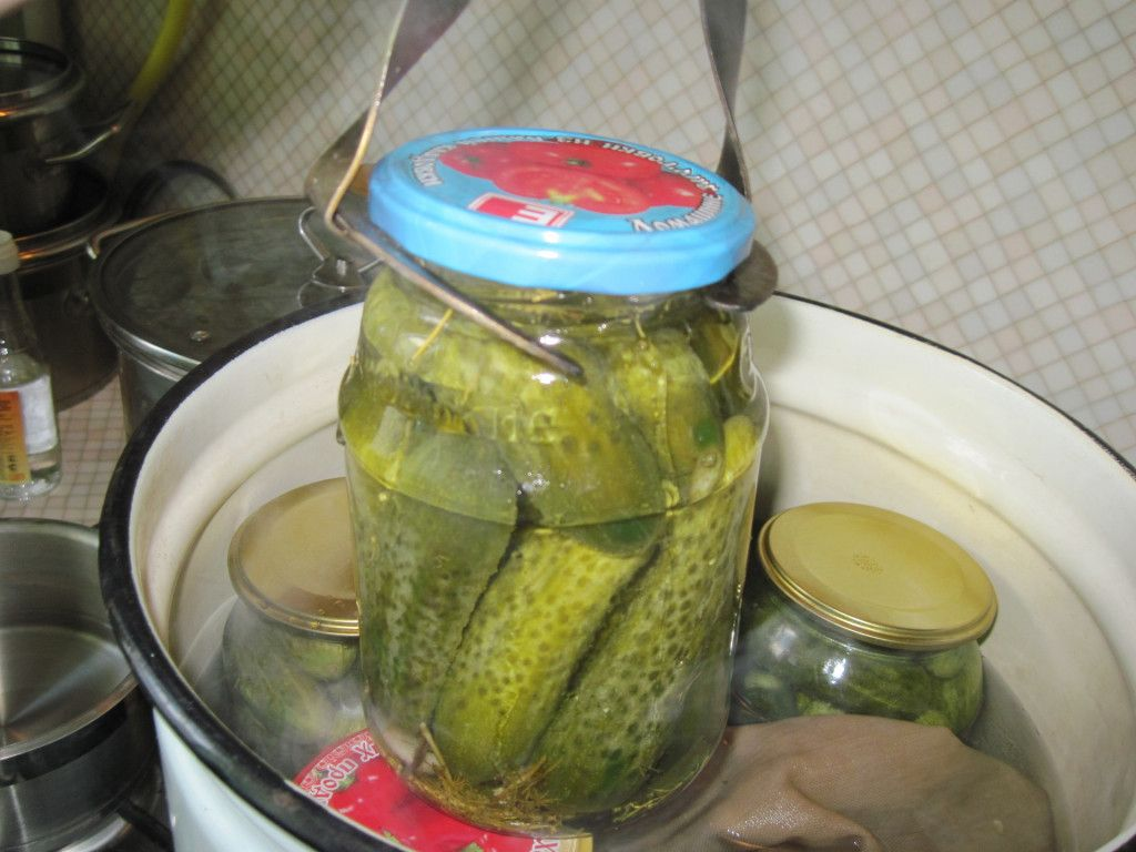 стерилизация банок огурцы. стерилизация банок с огурцами. стерилизация банок огурцы. стерилизация огурцов в банках в кастрюле. стерилизация огурцов в банках в кастрюле.