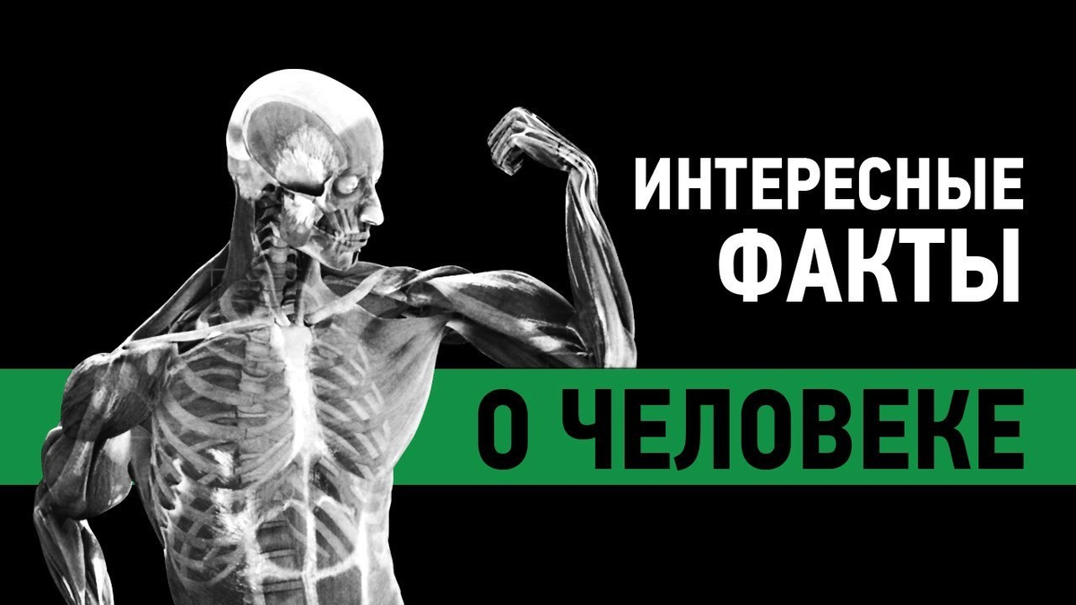 Невероятно но факт
