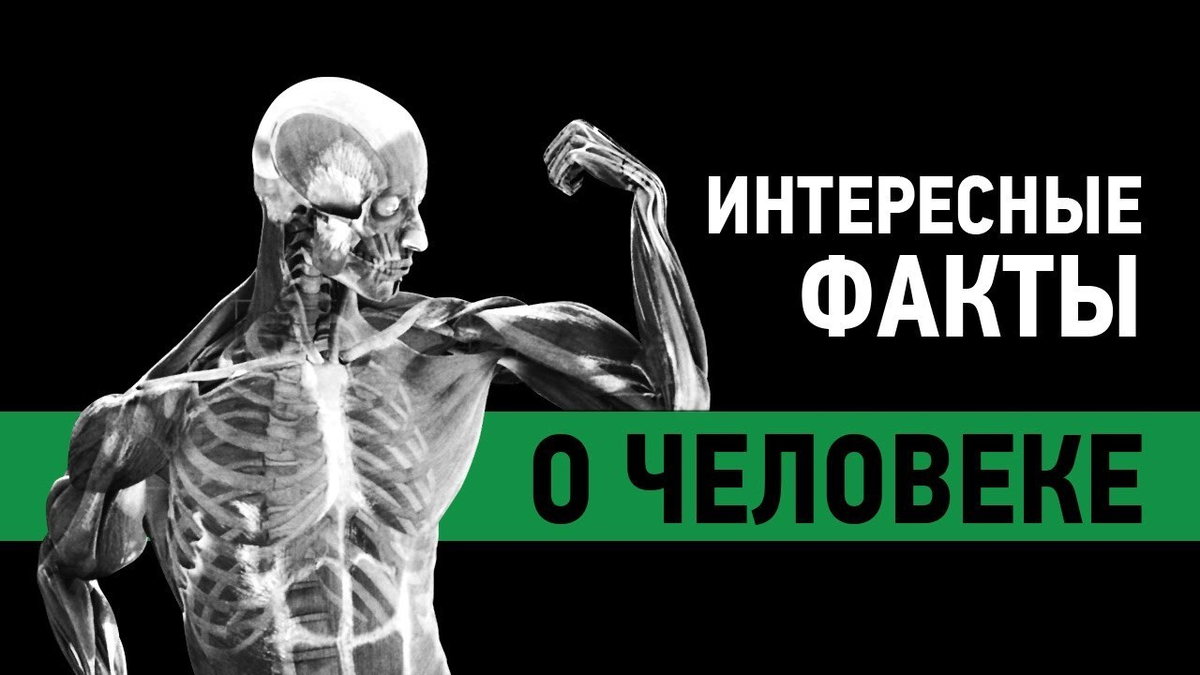 Два факта о человеке. 5 Фактов о человеке. 5 Интересных фактов о человеке. Интересные факты о физиологии человека. Самые невероятные факты о человеке.