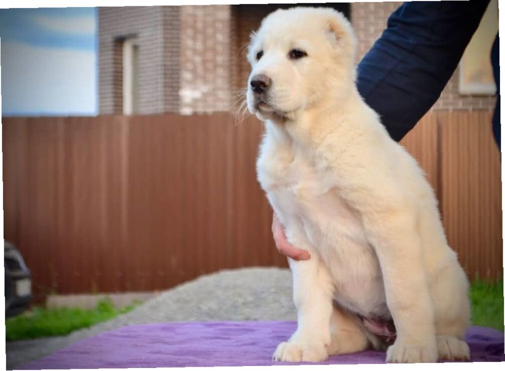 волшебное выздоровление