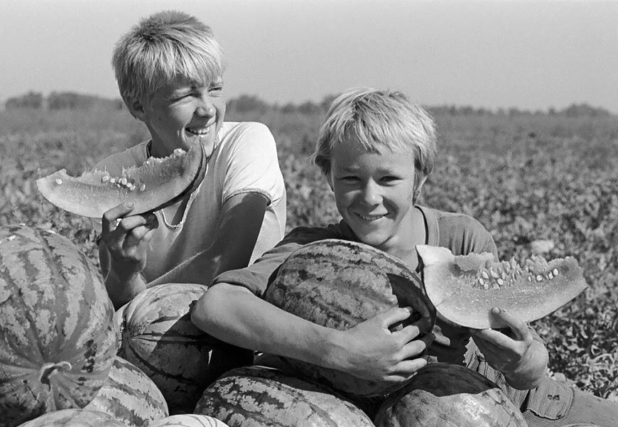 Мальчишки едят арбузы. Фото взято из открытых источников: soviet-postcards.com