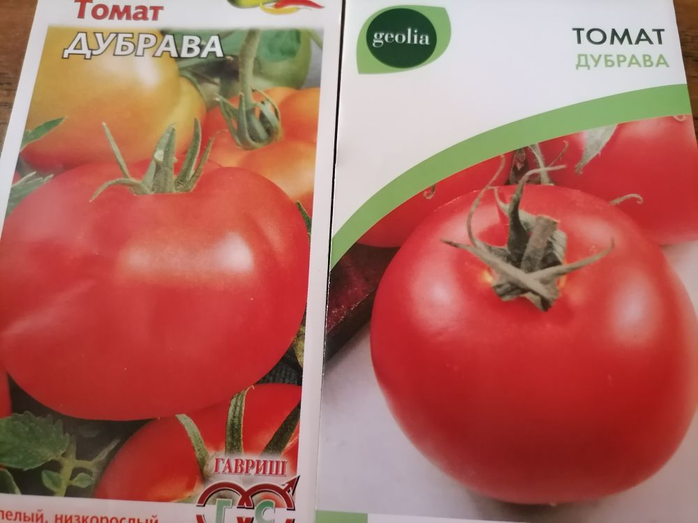 Семена томатов феня