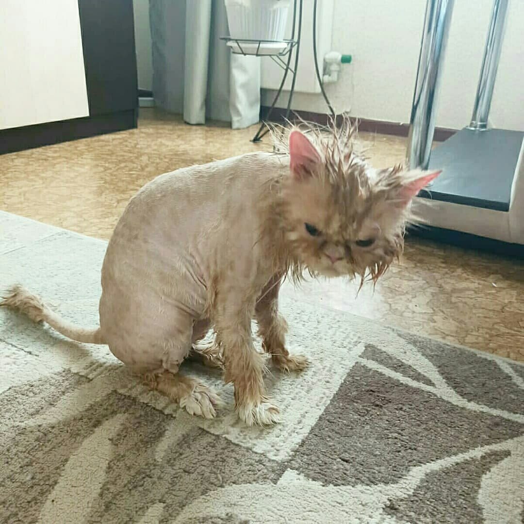 После банных процедур)