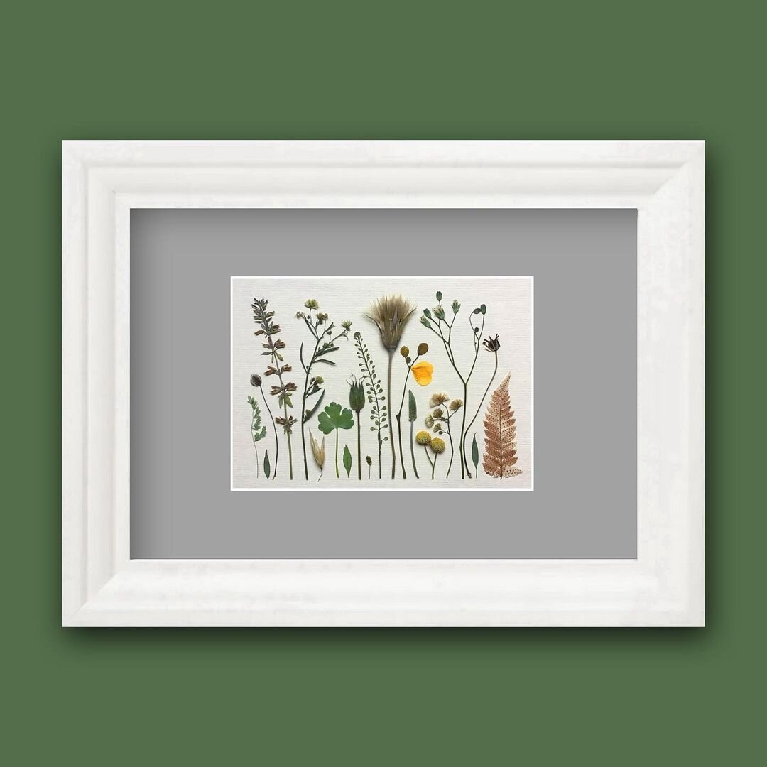 Фрагменты гербарной композиции от "Философии Гербария"