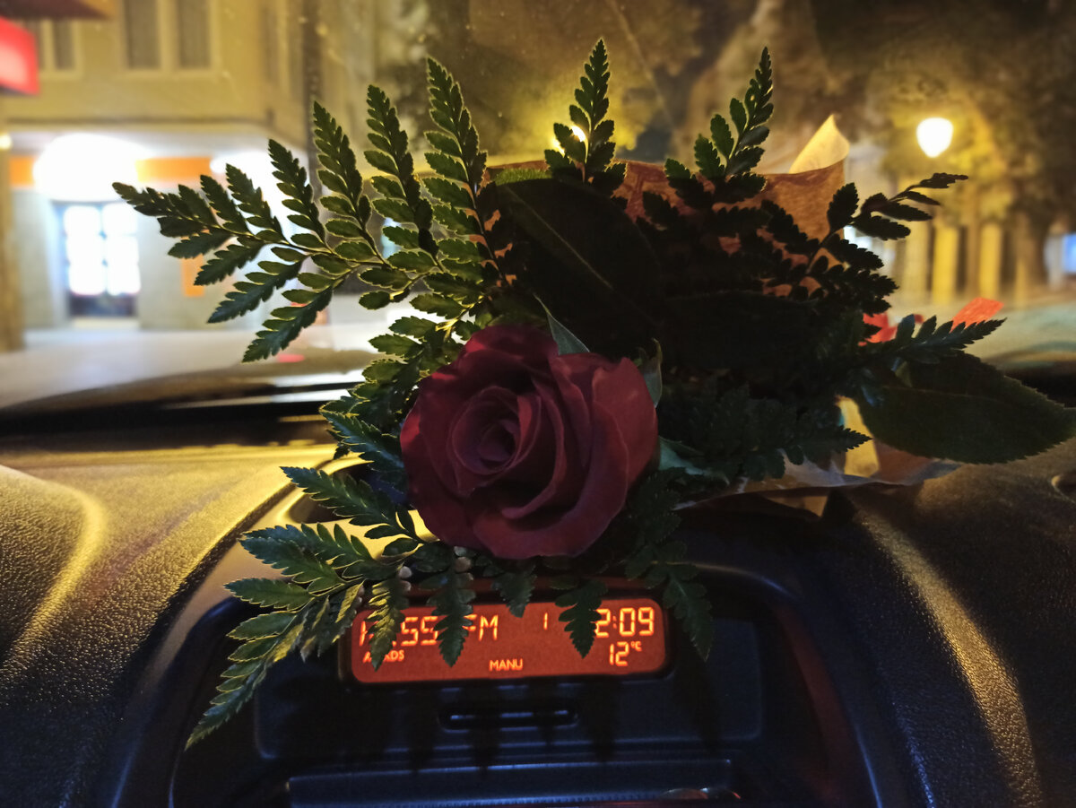 Фото автора.