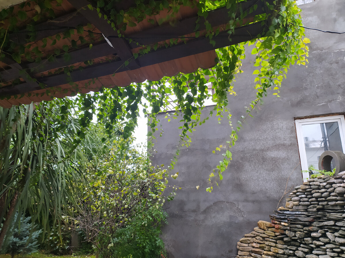 Фото автора