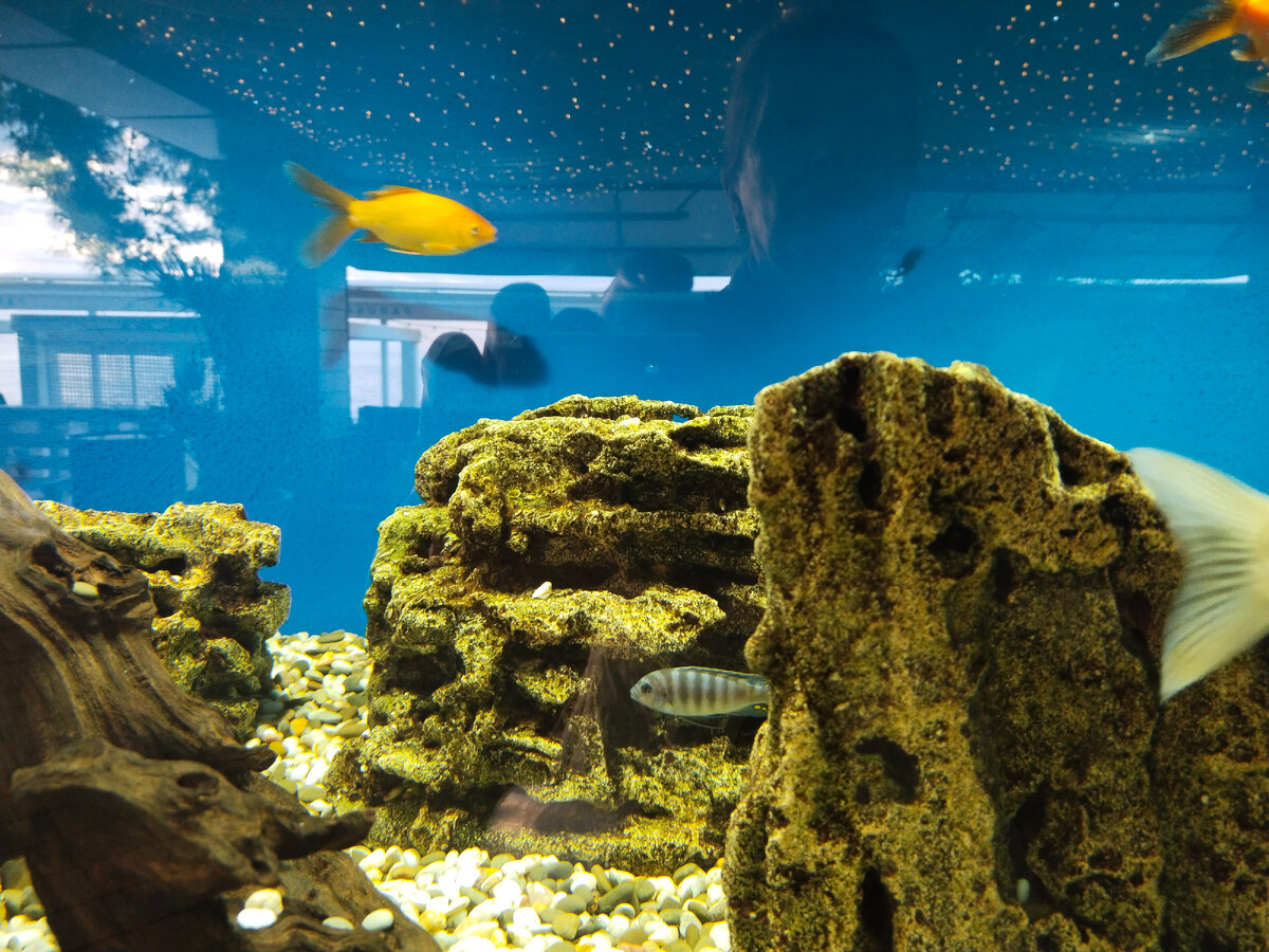 Фото автора канала