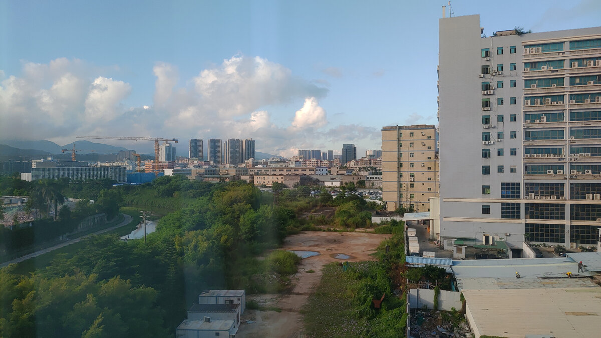 А из нашего окна жизнь некарантинная видна!