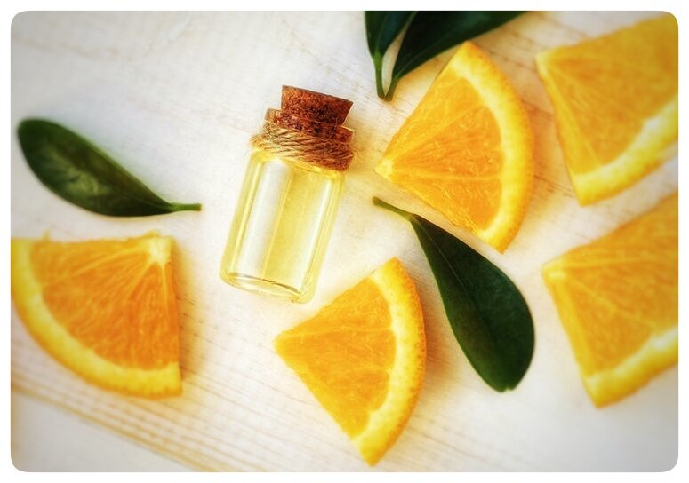 Фото из открытых источников. 