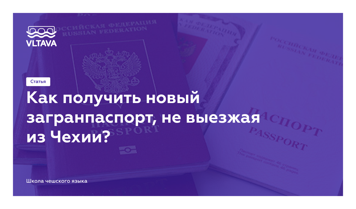 Как получить новый загранпаспорт, не выезжая из Чехии? | VLTAVA – школа  чешского и словацкого языка | Дзен