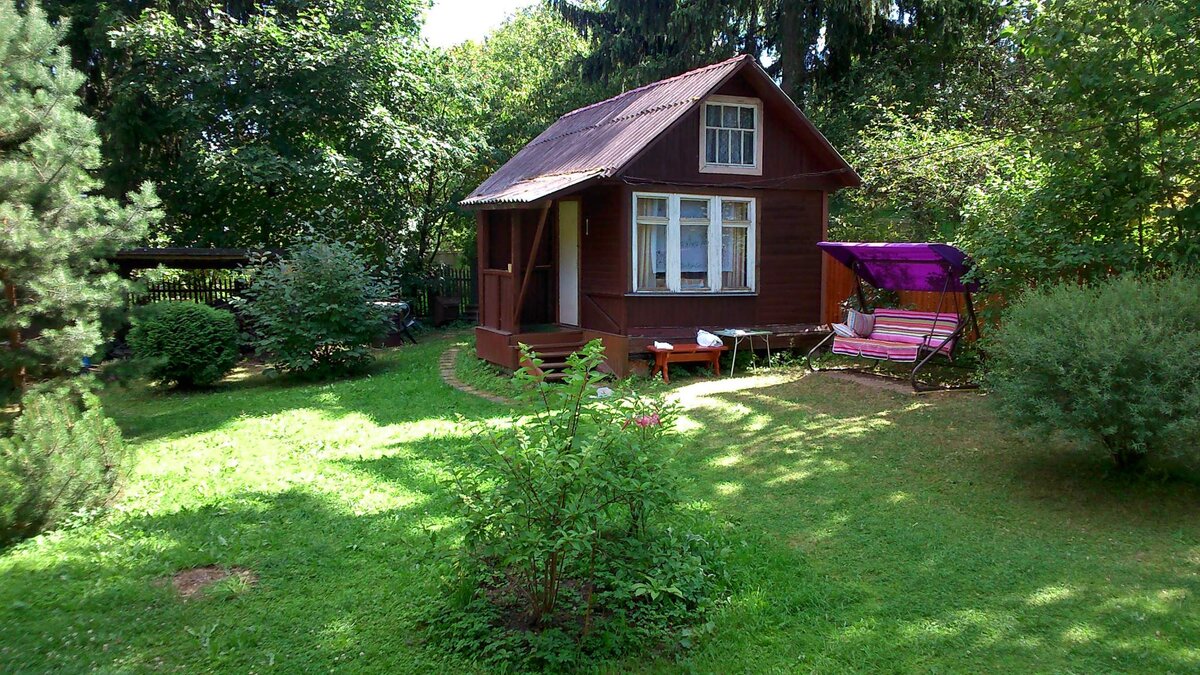 Фото из открытых источников