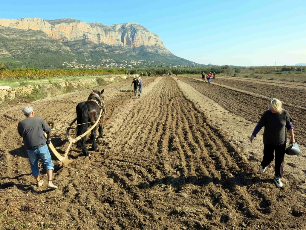 Что такое земледелие. Пашенное земледелие Испания. Бесплужное земледелие. Полярное земледелие это. Альтернативное земледелие.