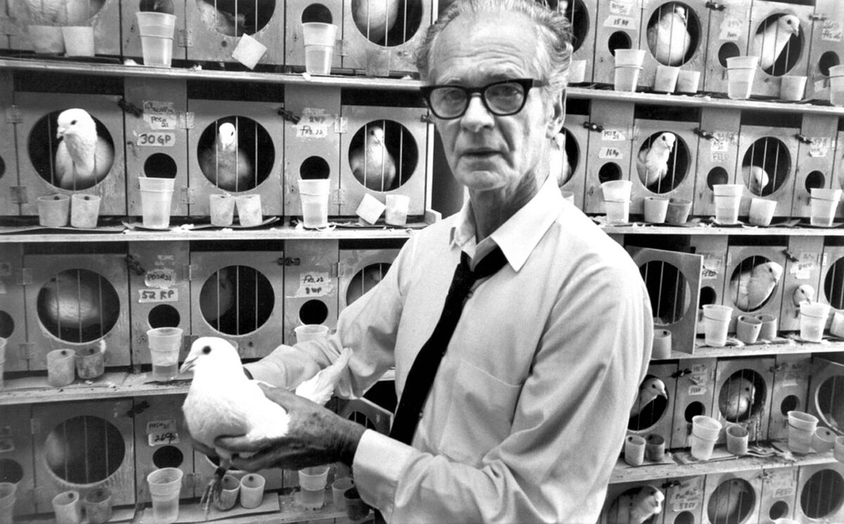 Психолог Беррес Скиннер и голуби.