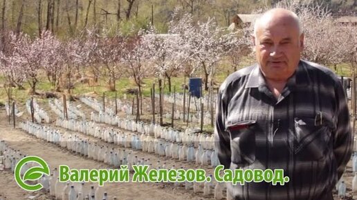 отзывы северных садоводов