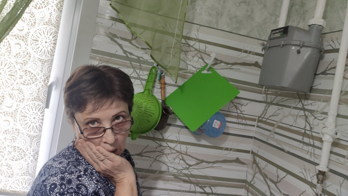 они начнут брать с нас деньги по нормативу, а не по счетчику! А у нас газовый котёл, колонка и плита!