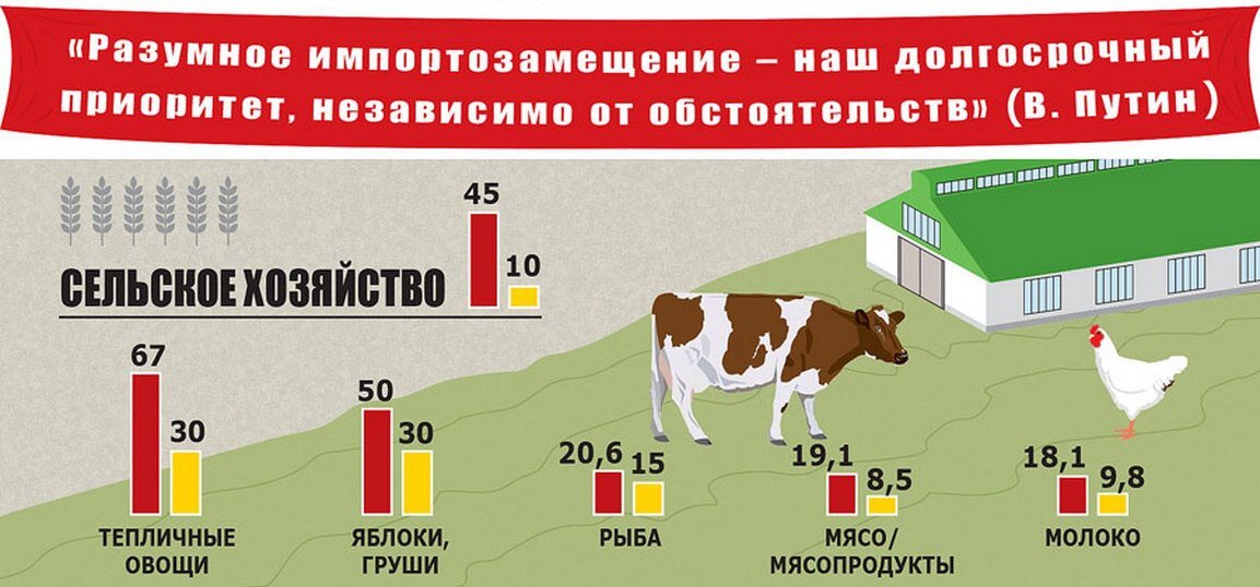 Импортозамещение в россии картинки