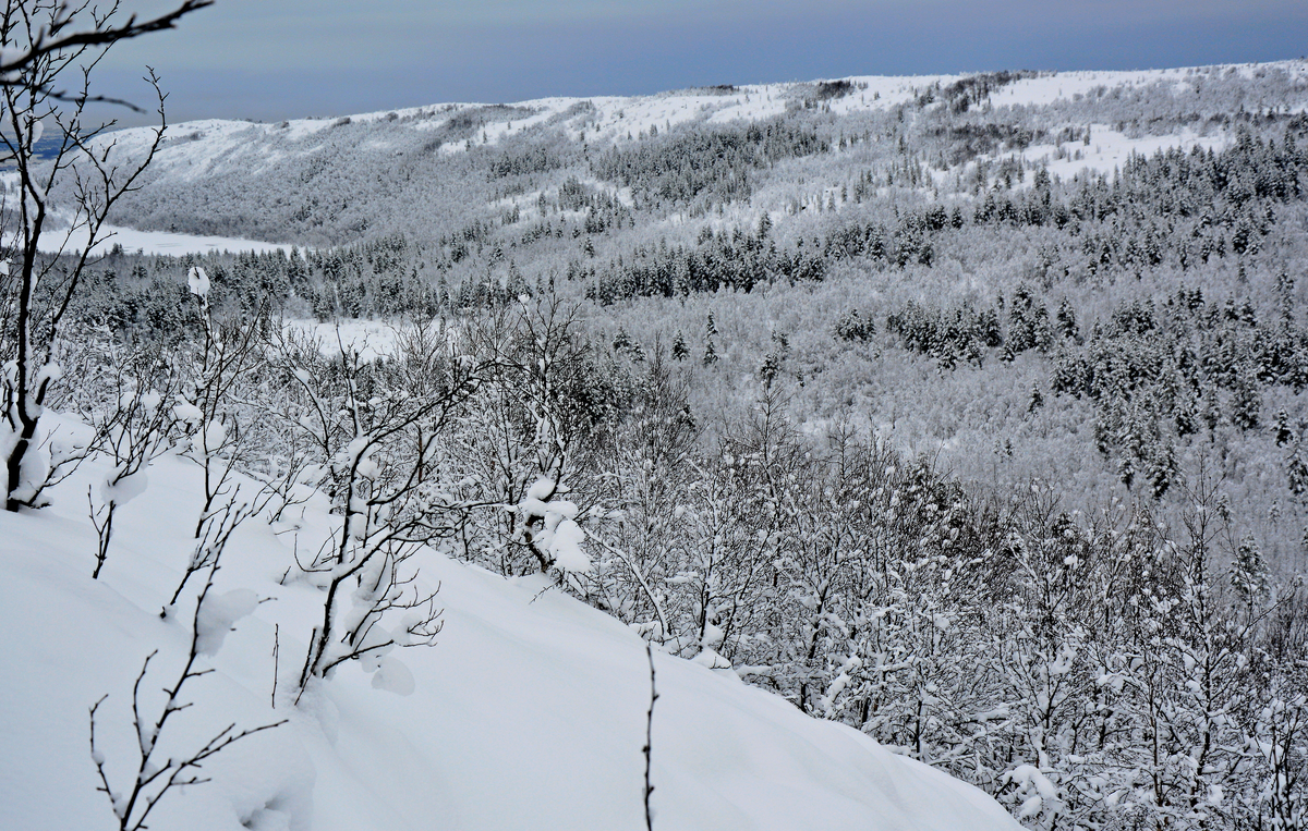 Фото Михаила Пустового