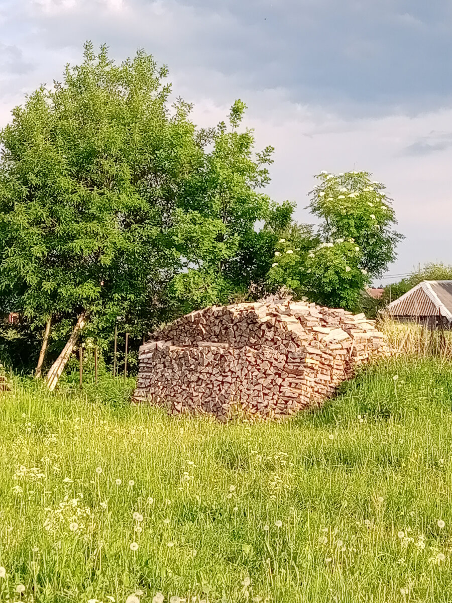 Фотография из личного архива