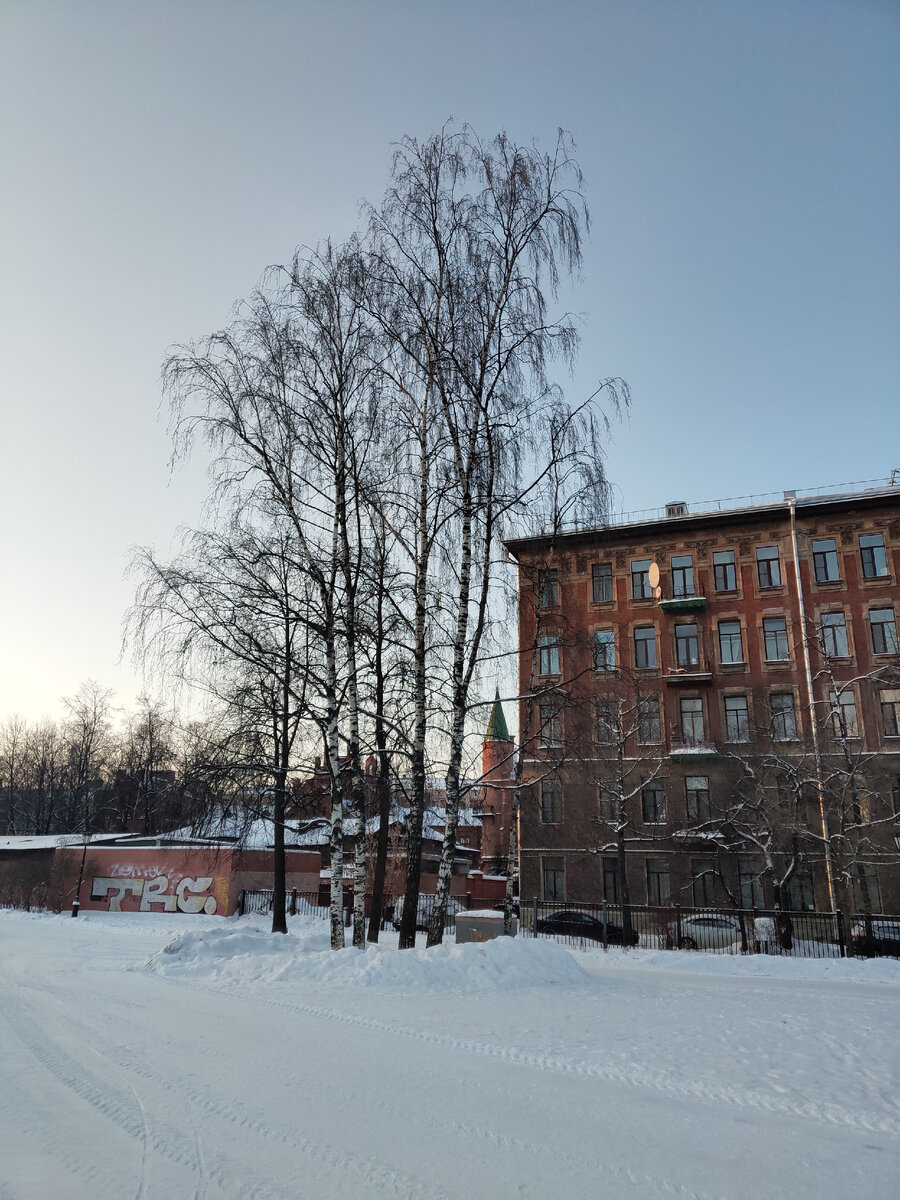 Жилая застройка в центре Питера. Хотели бы окна в парк, как у этого дома?