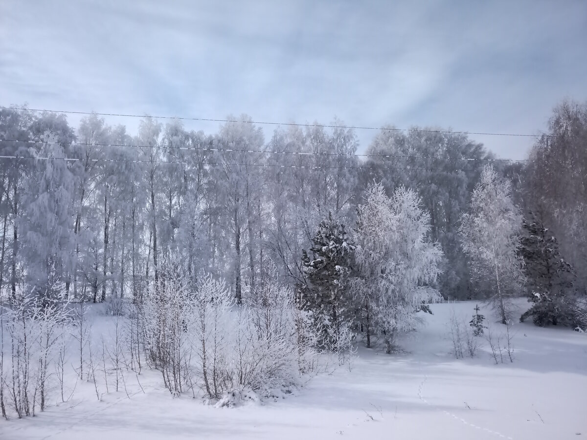 Немного местных пейзажей.