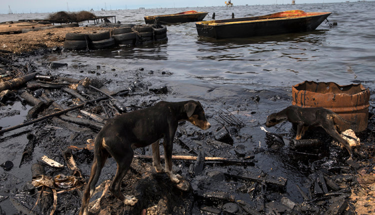 Фото: Rodrigo Abd / AP