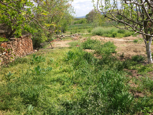 Источник: Яндекс.Картинки