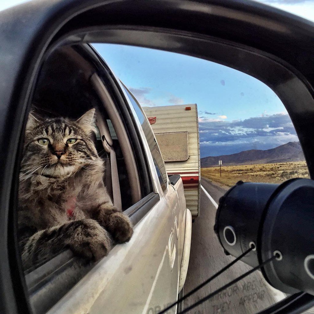 Фото из сети