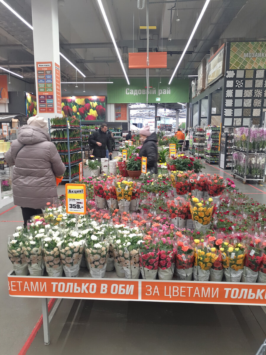 Цветы к 8 марта в ОБИ