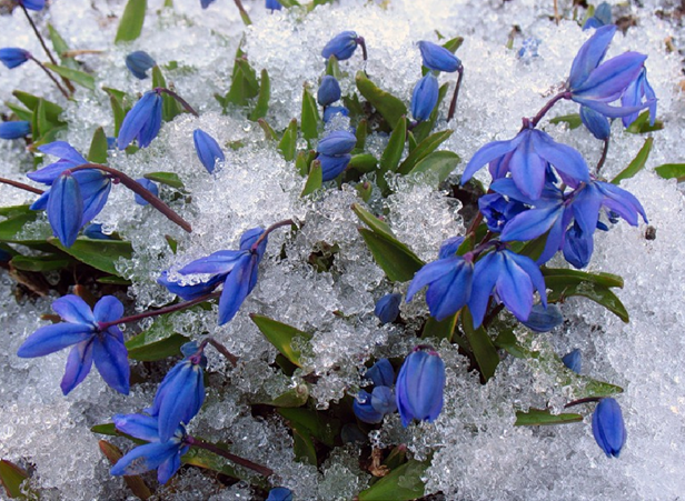 Фото из свободных источников интернета. 
