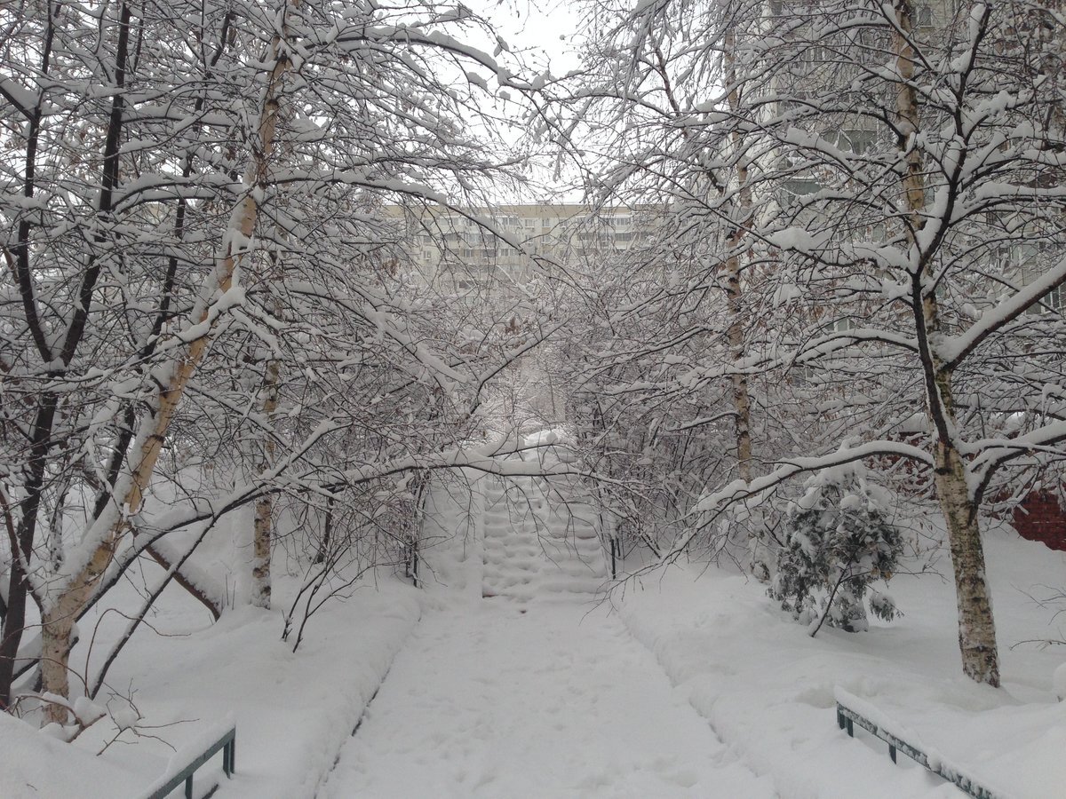 Москва, мороз, снег