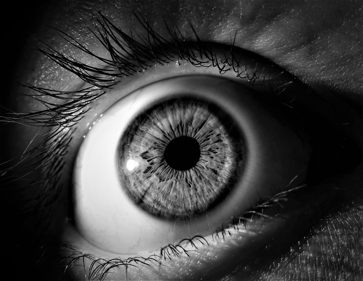 Фото: Aline Berry / pixabay.com