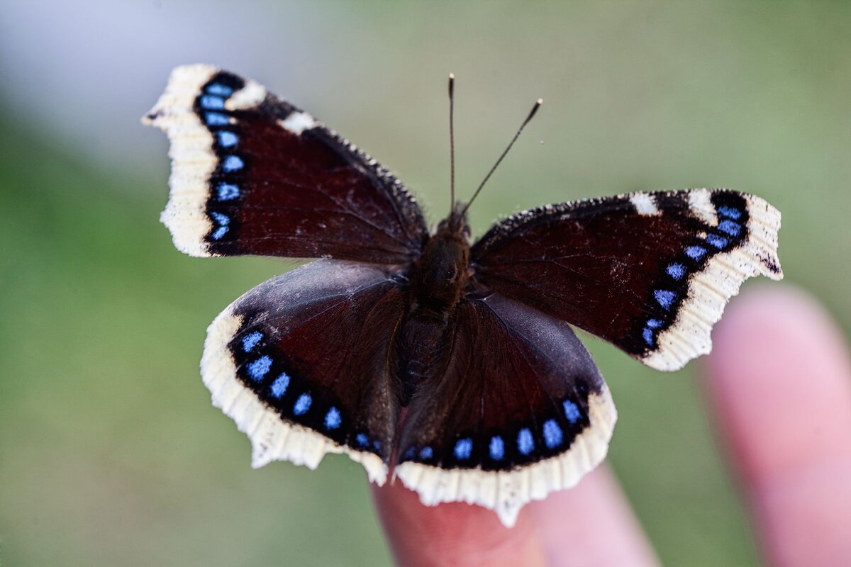 Фото: funart.pro