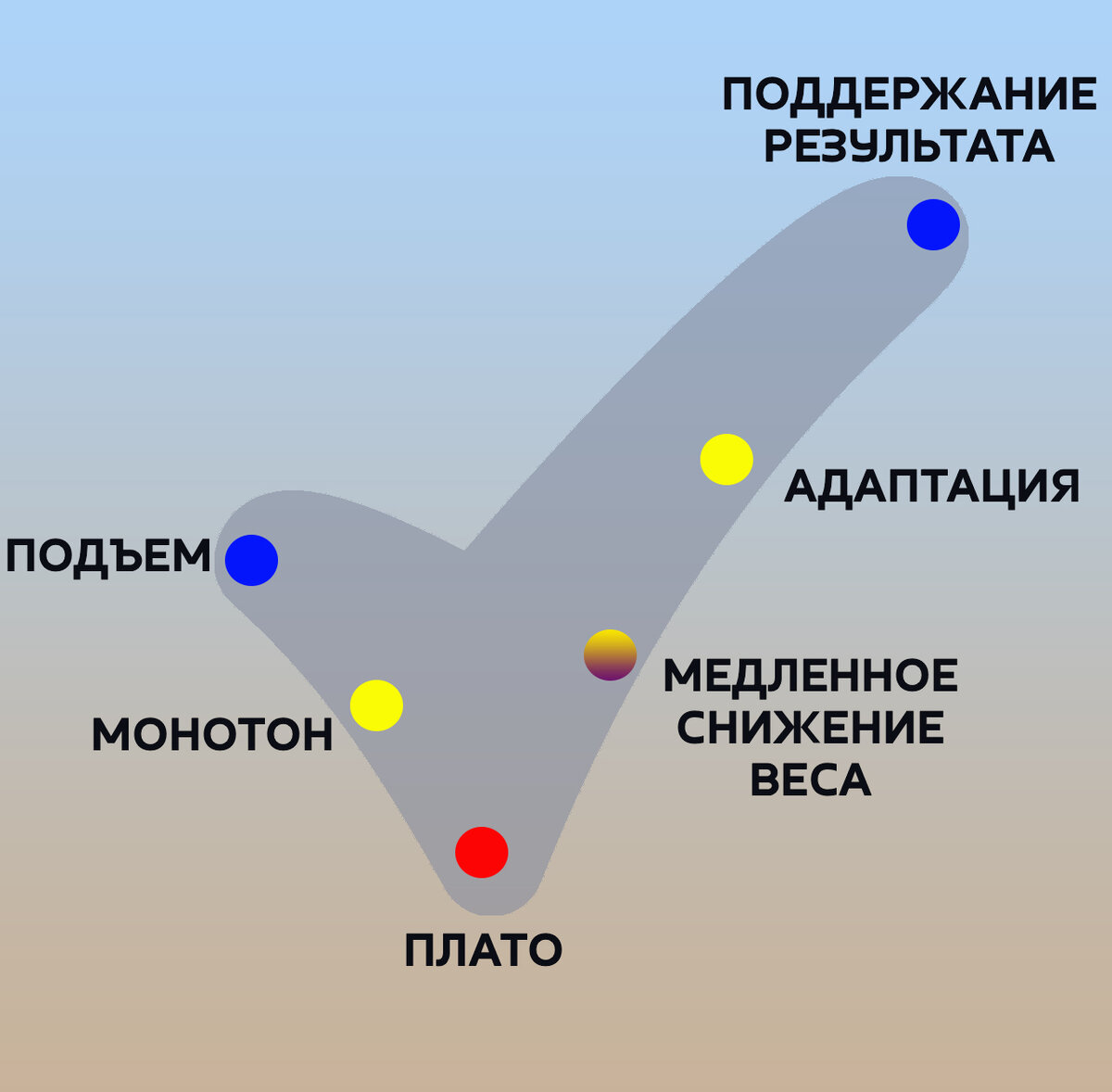 Стадии похудения