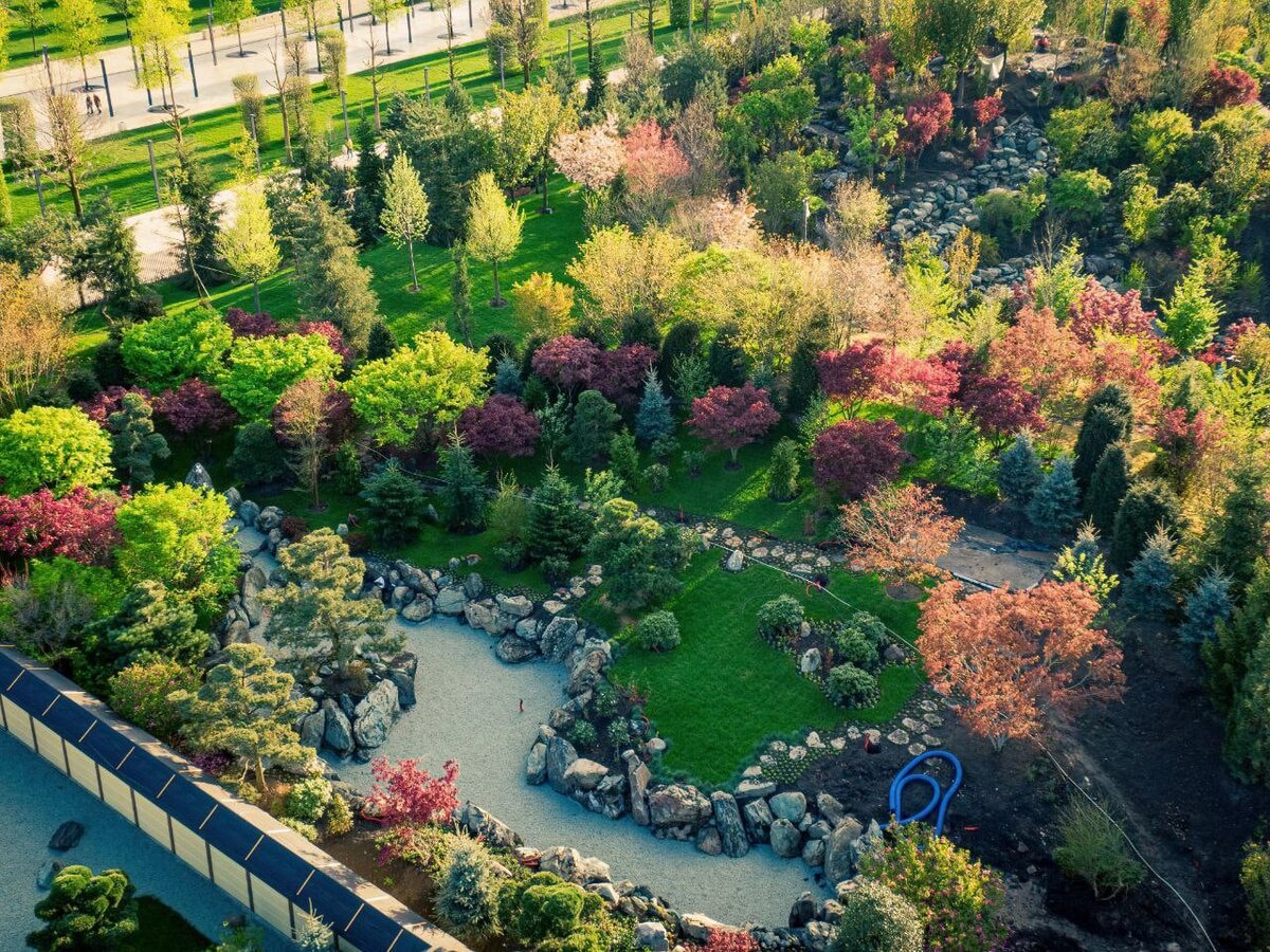 японский сад краснодар парк галицкого
