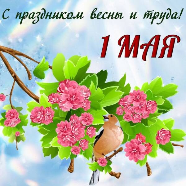 Яндекс картинки
