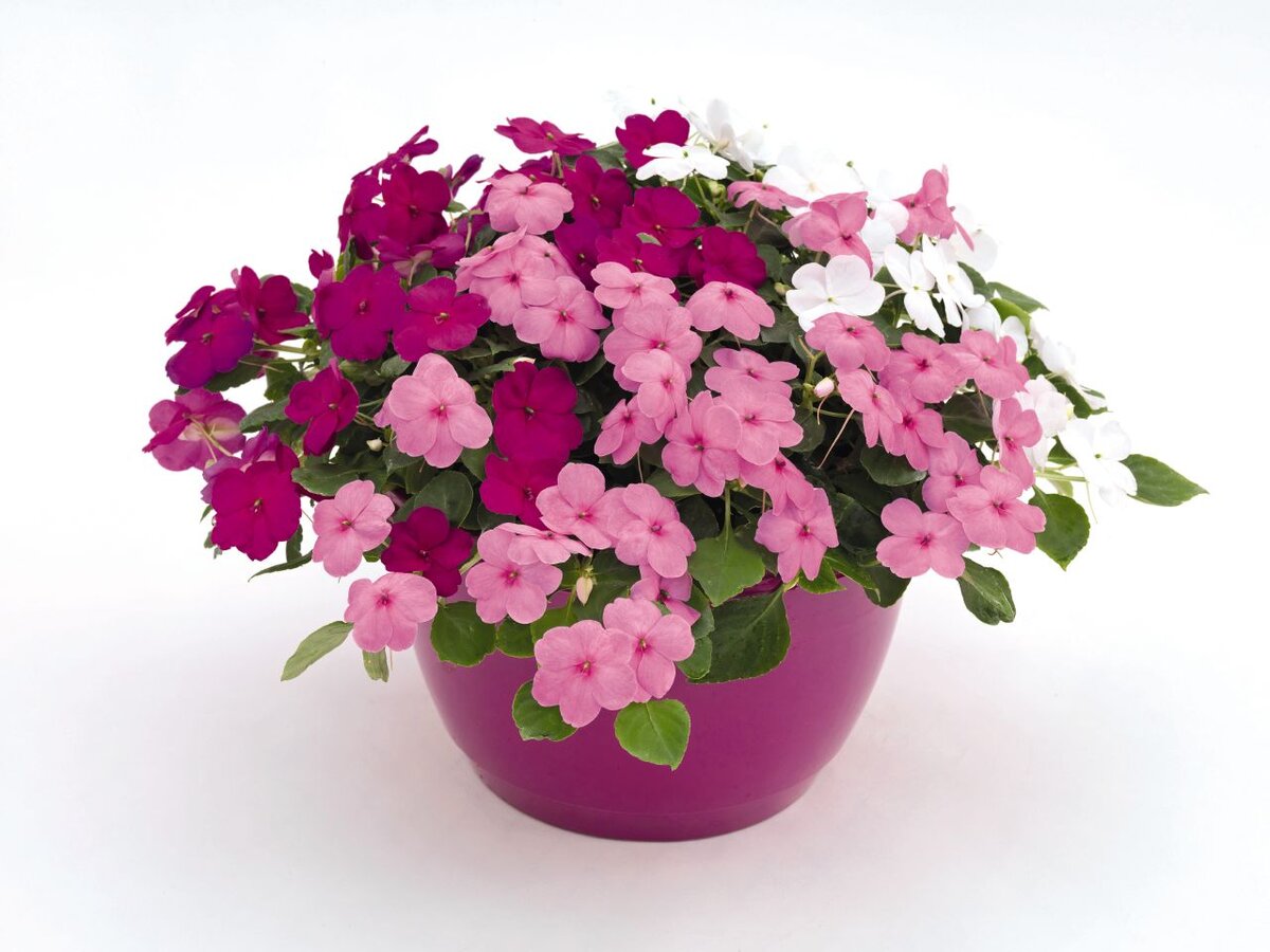 Источник: Яндекс.Картинки