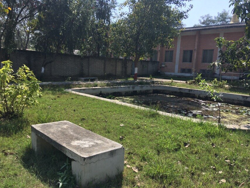 мое любимое место, самая популярная и солнечная лавочка для гимнастики в период курса