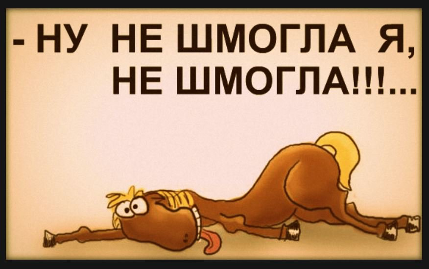 Ну устал. Не шмогла. Не шмогла я не шмогла. Ну не шмогла я не шмогла анекдот. Лошадь ну не шмогла я