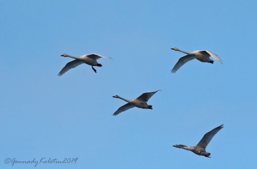 Красиво, нет слов.