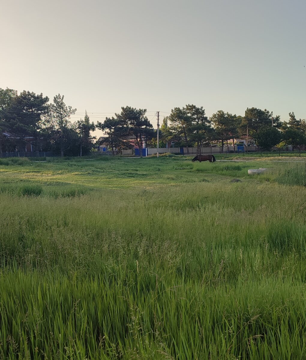 А это наш "мегаполиса", уже как 3 года... Село в северной части Крыма