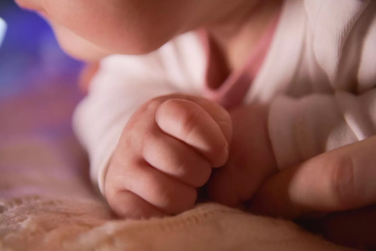 © Sputnik / Леон Адлейба