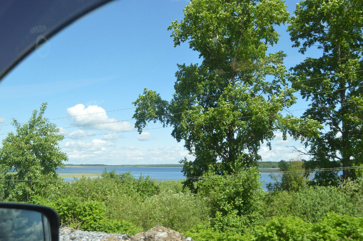 озеро Селигер из окна автомобиля