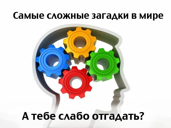 Сложные загадки от которых у тебя вскипит мозг 🧠 и твоя нервная система 🧐