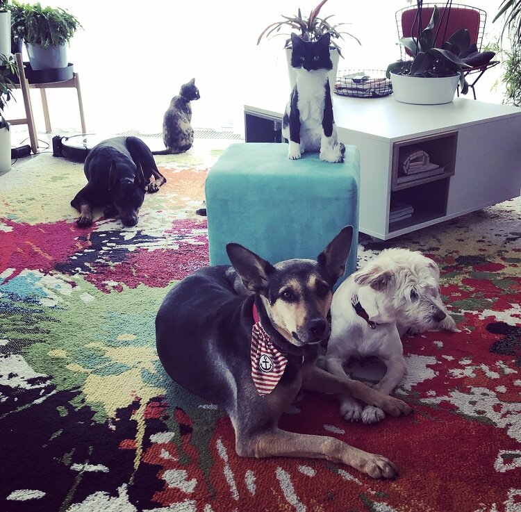 Наша банда.